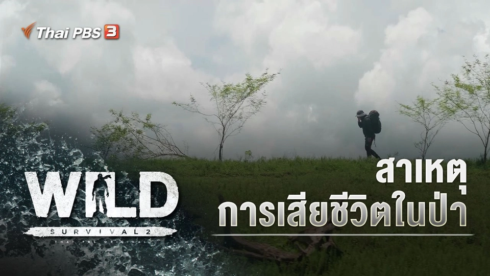 สาเหตุการเสียชีวิตในป่า