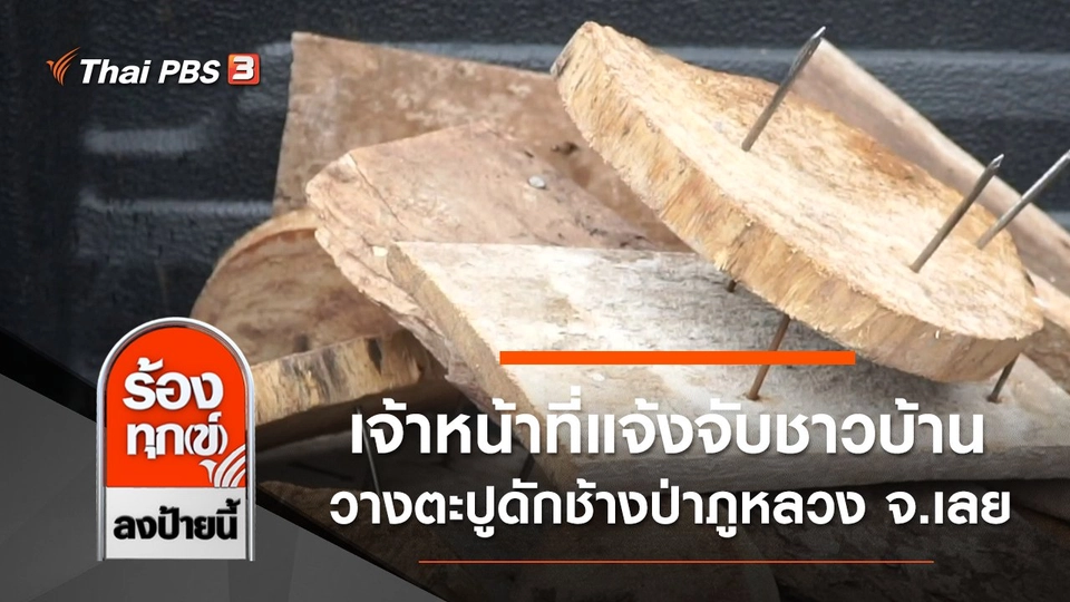 เจ้าหน้าที่แจ้งจับชาวบ้าน วางตะปูดักช้างป่าภูหลวง จ.เลย