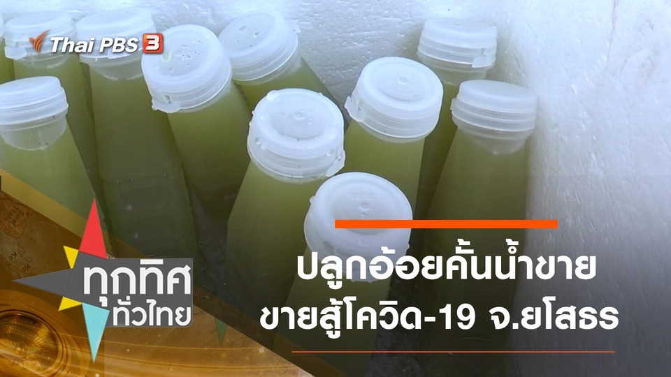 ปลูกอ้อยคั้นน้ำขายสู้โควิด-19 จ.ยโสธร