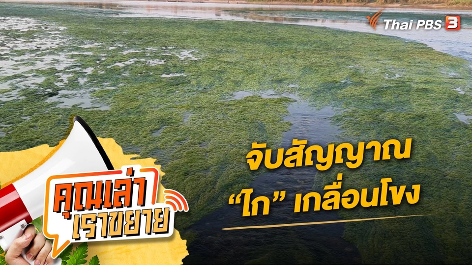 จับสัญญาณ “ไก” เกลื่อนโขง