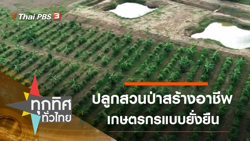 ปลูกสวนป่าสร้างอาชีพเกษตรกรแบบยั่งยืน จ.นครสวรรค์