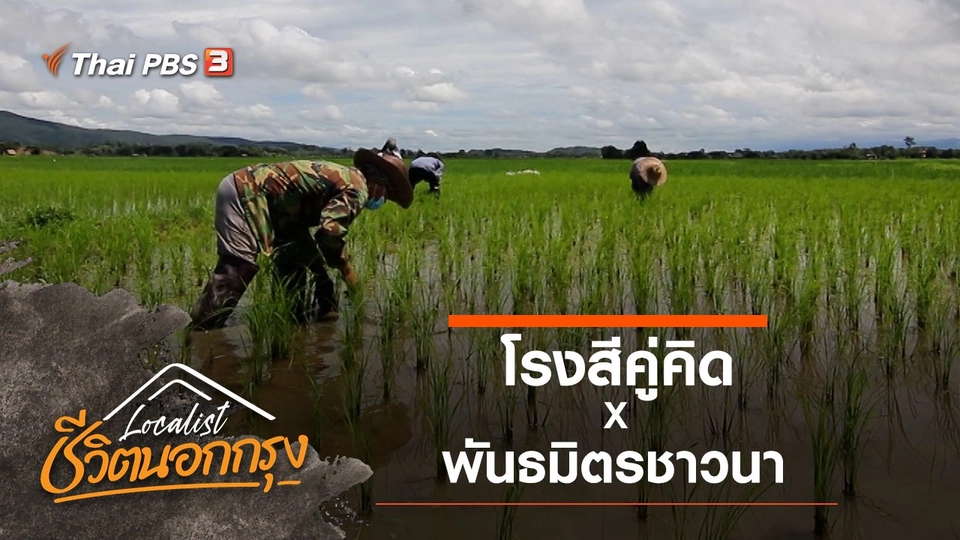 โรงสีคู่คิด x พันธมิตรชาวนา