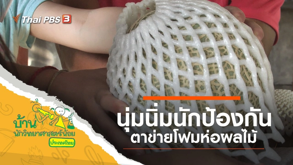 นุ่มนิ่มนักป้องกัน