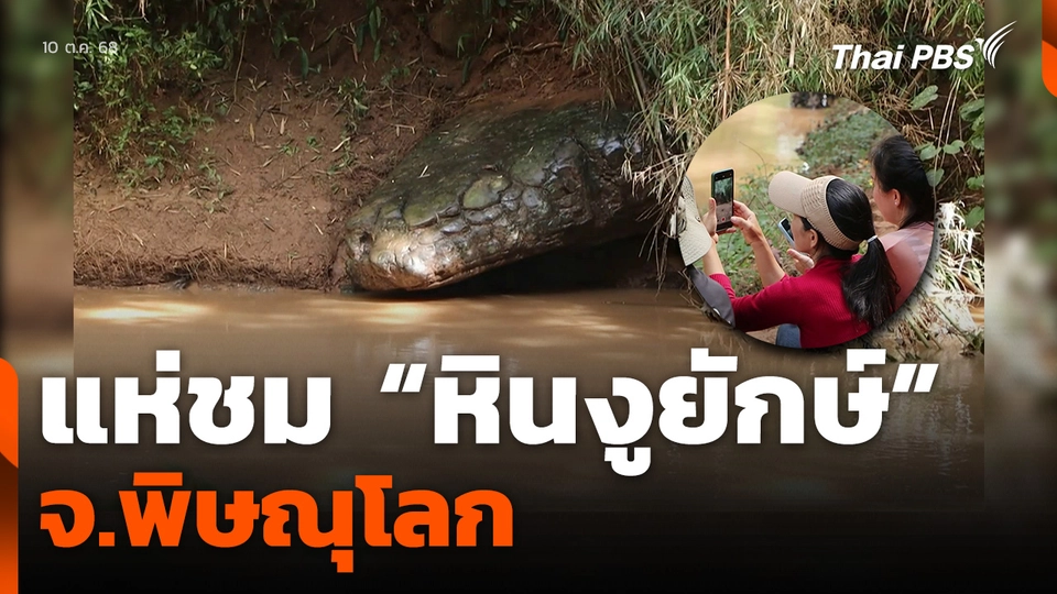 แห่ชม “หินงูยักษ์” จ.พิษณุโลก