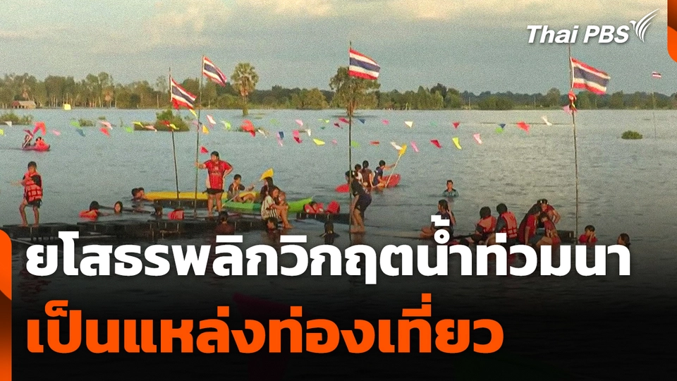 ยโสธรน้ำท่วมนา พลิกวิกฤตเป็น "แหล่งท่องเที่ยว"