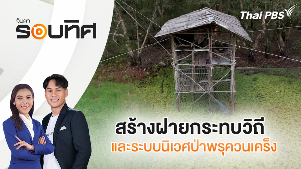 สร้างฝายกระทบวิถีและระบบนิเวศป่าพรุควนเคร็ง | จับตารอบทิศ | 2 ต.ค. 68