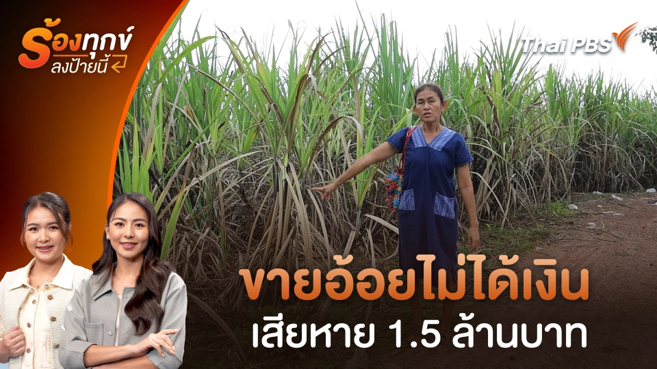 ขายอ้อยไม่ได้เงิน เสียหาย 1.5 ล้านบาท