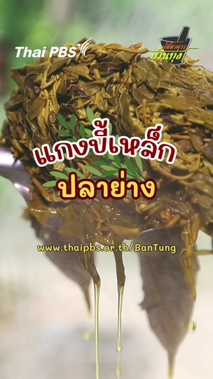 แกงขี้เหล็กปลาย่าง