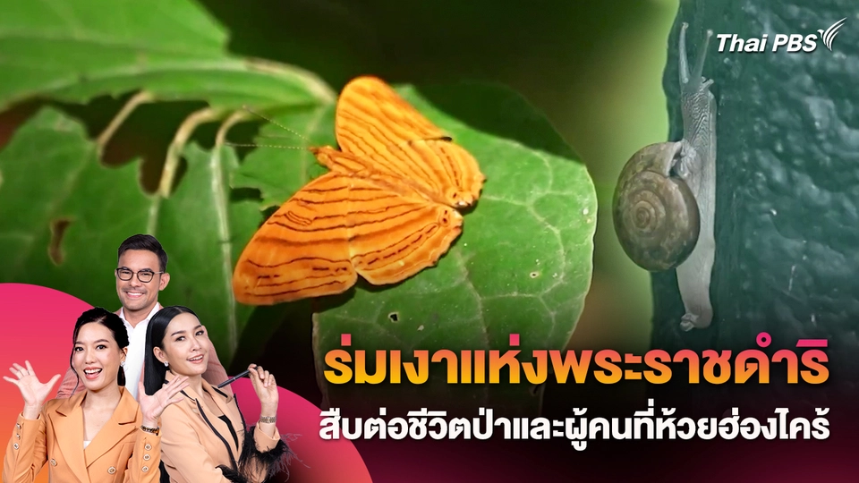 ร่มเงาแห่งพระราชดำริ สืบต่อชีวิตป่าและผู้คนที่ห้วยฮ่องไคร้