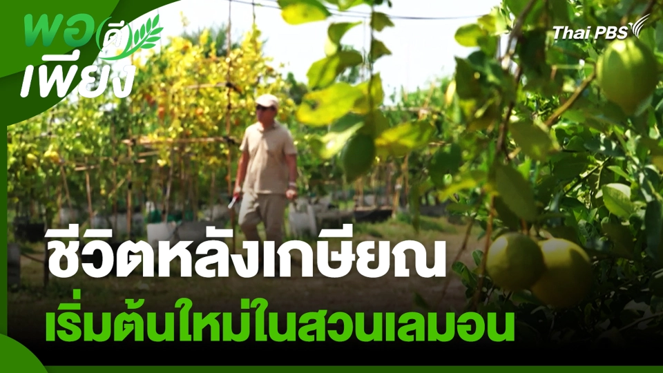 ชีวิตหลังเกษียณ เริ่มต้นใหม่ในสวนเลมอน