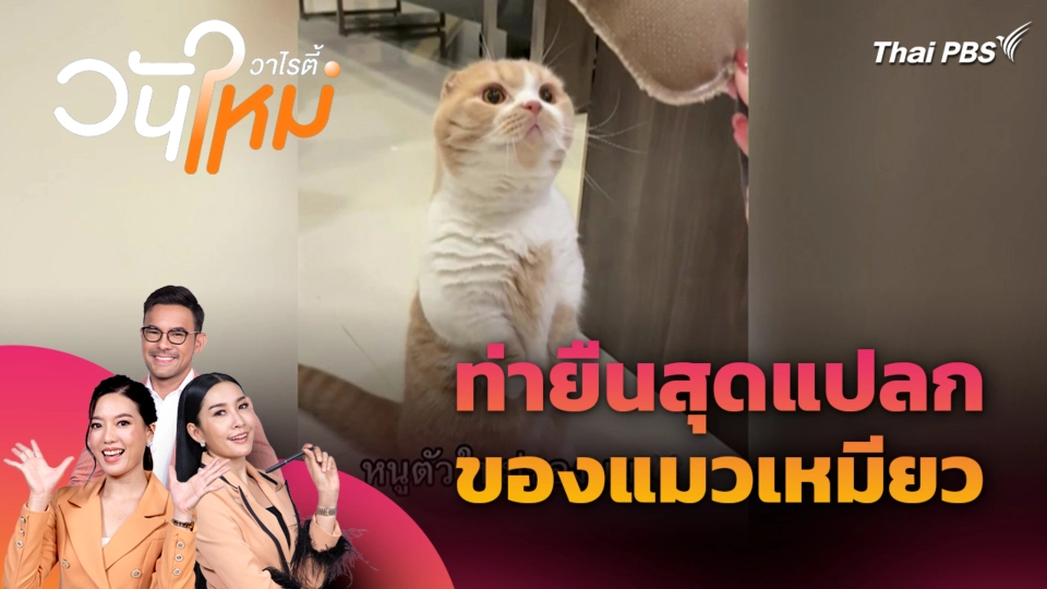 สีสันวาไรตี้ (14 ต.ค. 68)