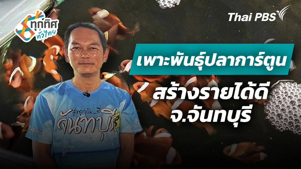 เพาะพันธุ์ปลาการ์ตูน จ.จันทบุรี