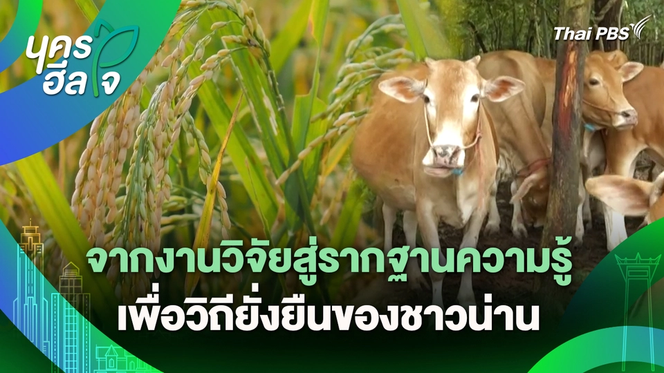 นครฮีลใจ : จากงานวิจัยสู่รากฐานความรู้ เพื่อวิถียั่งยืนของชาวน่าน