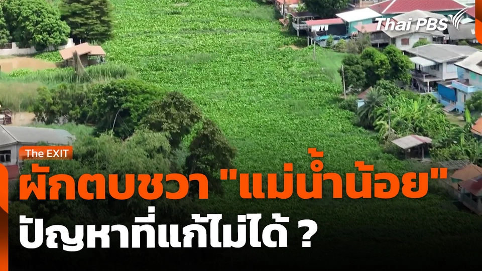 ปัญหาผักตบชวา "แม่น้ำน้อย" แก้ไม่ได้หรือไม่ได้แก้ ?