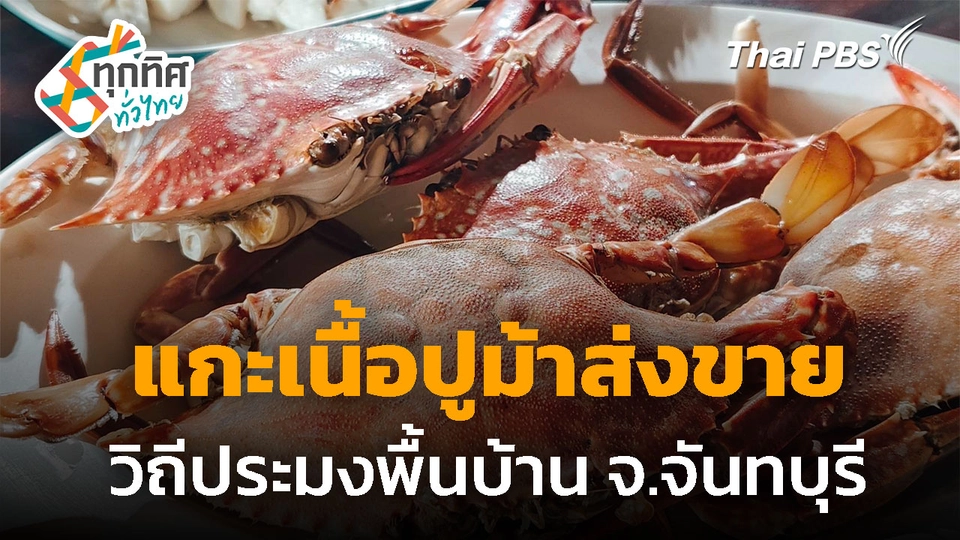 แกะเนื้อปูม้าส่งขาย วิถีประมงพื้นบ้าน จ.จันทบุรี 