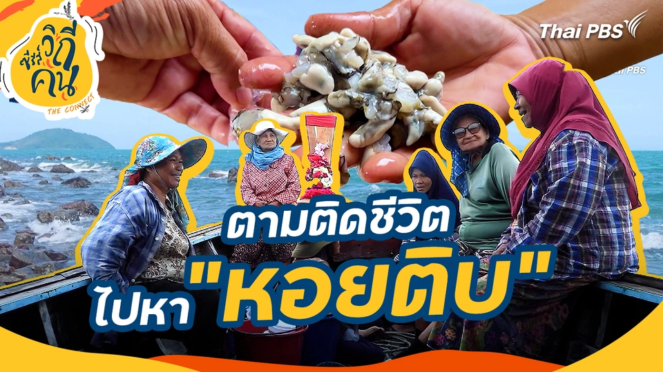 ช็อตเด็ดซีรีส์วิถีคน : ตามติดชีวิต ไปหา "หอยติบ"