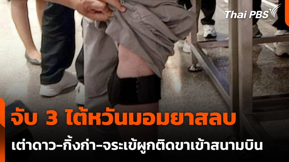 จับ 3 ไต้หวันมอมยาสลบเต่าดาว-กิ้งก่า-จระเข้ผูกติดขาเข้าสนามบิน