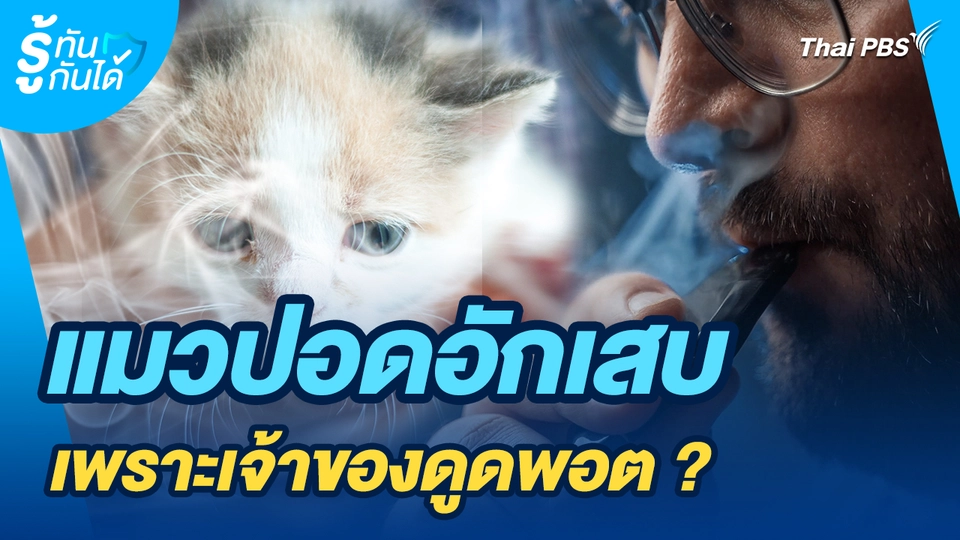 รู้ทันกันได้ : แมวปอดอักเสบ เพราะเจ้าของดูดพอตจริงหรือ ?