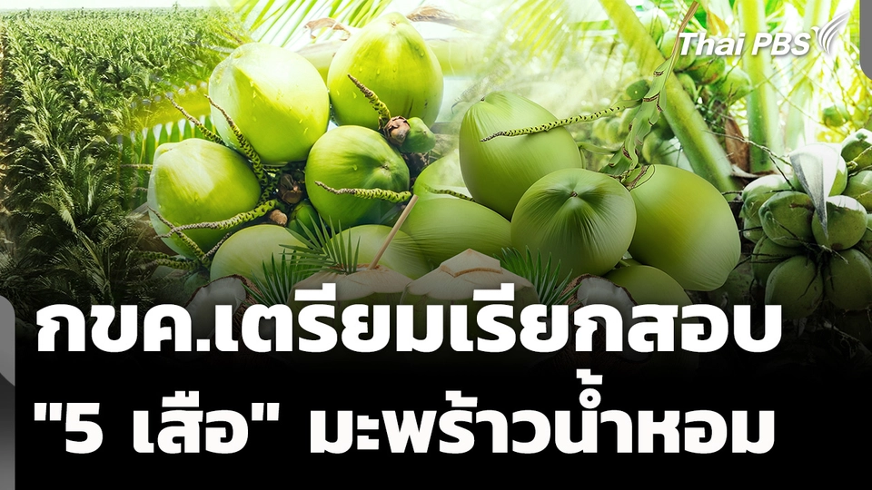 กขค.เตรียมเรียกสอบ "5 เสือ" มะพร้าวน้ำหอม
