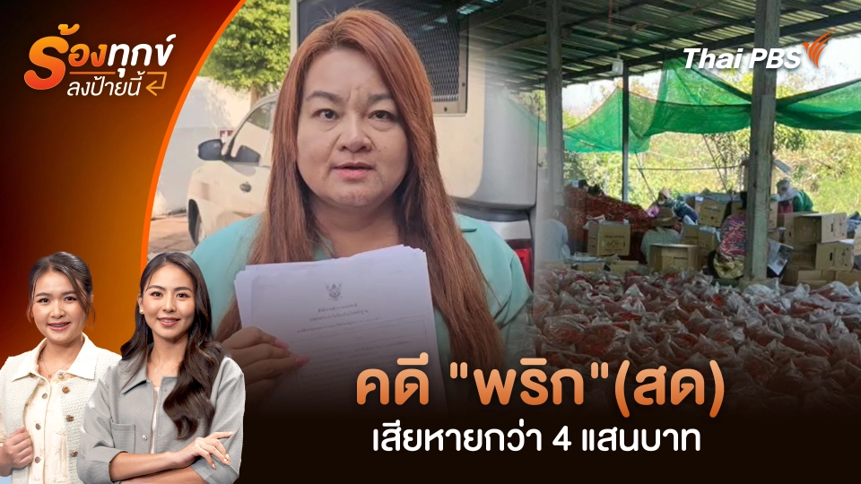 คดี "พริก"(สด) เสียหายกว่า 4 แสนบาท