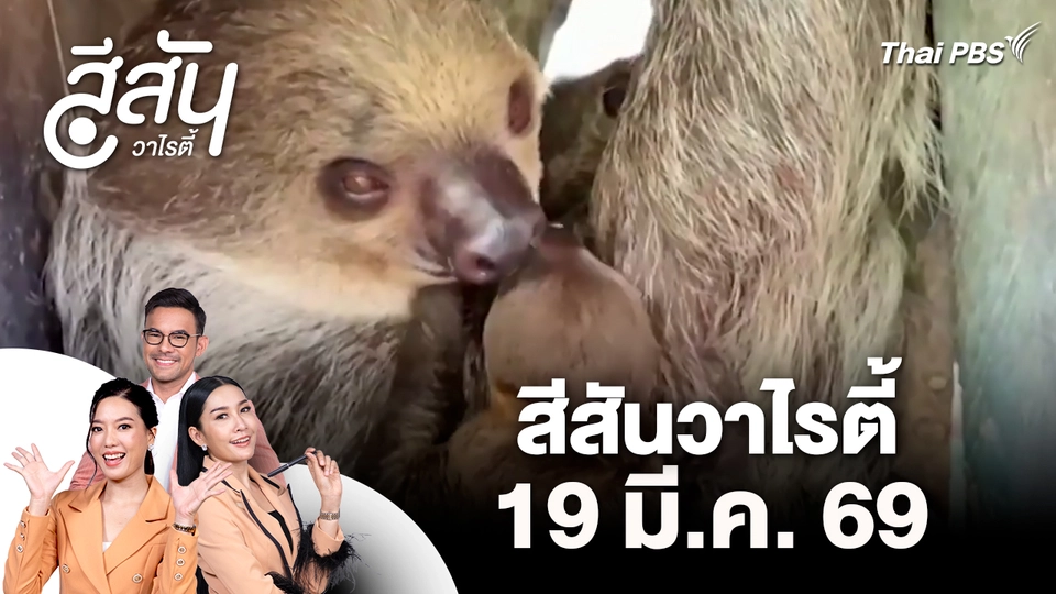 สีสันวาไรตี้ (19 มี.ค. 69)