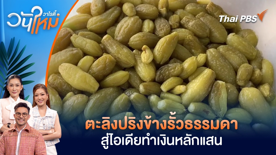 ตะลิงปริงข้างรั้วธรรมดา สู่ไอเดียทำเงินหลักแสน | วันใหม่วาไรตี้ | 19 มี.ค. 69