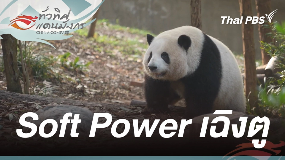 Soft Power เฉิงตู