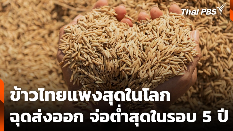 ข้าวไทยแพงสุดในโลก ฉุดส่งออก จ่อต่ำสุดในรอบ 5 ปี