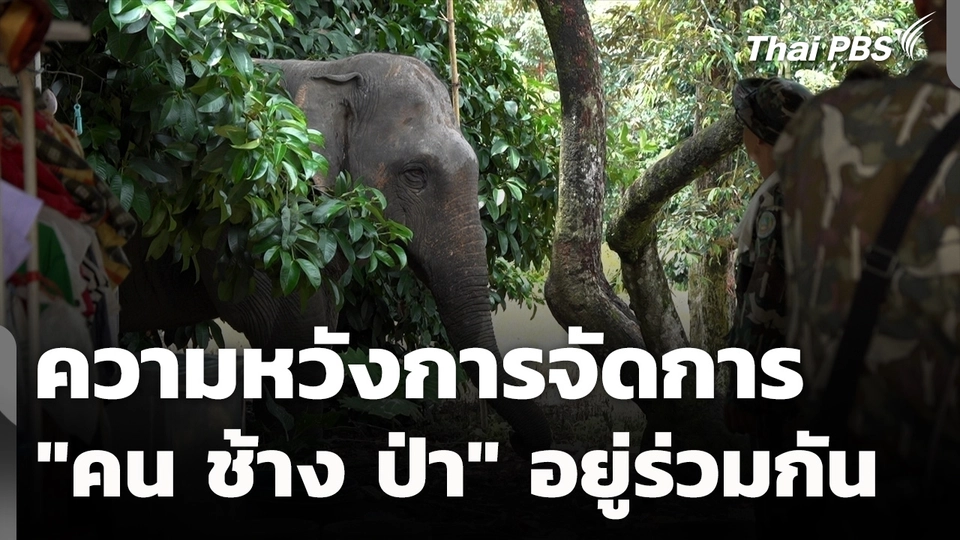 ความหวังการจัดการ "คน ช้าง ป่า" อยู่ร่วมกัน