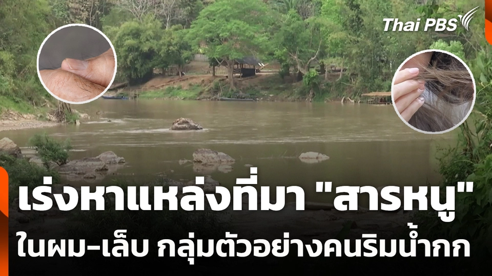 เร่งหาแหล่งที่มา "สารหนู" ในเส้นผม-เล็บ กลุ่มตัวอย่างคนริมน้ำกก