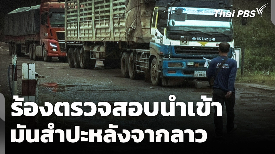 ร้องตรวจสอบการนำเข้า "มันสำปะหลัง" จากลาว 