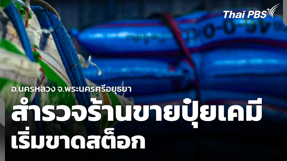 สำรวจร้านขาย "ปุ๋ยเคมี" นครหลวง เริ่มขาดสต็อก 