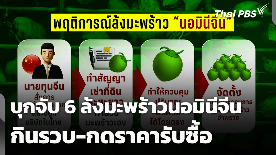บุกจับ 6 ล้งมะพร้าว "นอมินีจีน" กินรวบ-กดราคารับซื้อ