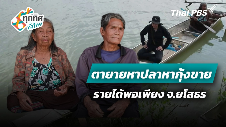 ตายายหาปลาหากุ้งขายมีรายได้พอเพียง จ.ยโสธร