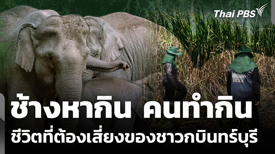 ช้างป่าหากิน - คนทำกิน ตอนที่ 1