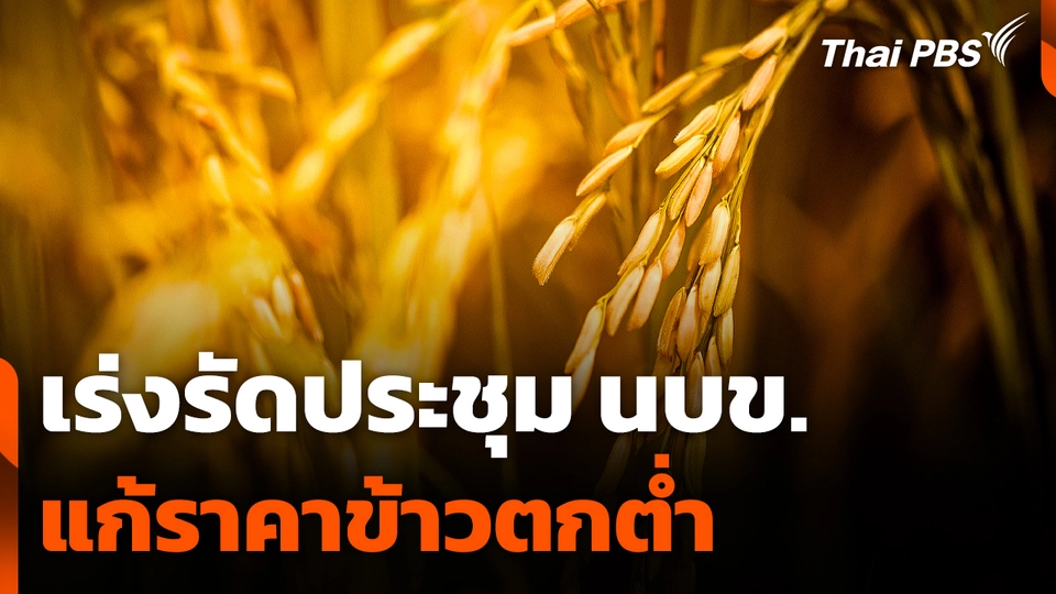 เร่งรัดประชุม นบข. แก้ปัญหาราคาข้าวตกต่ำ