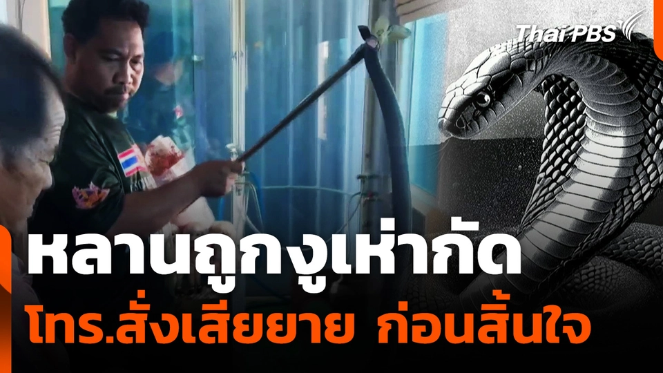 หลานถูกงูเห่ากัดโทร.สั่งเสียยาย ก่อนสิ้นใจคาโทรศัพท์