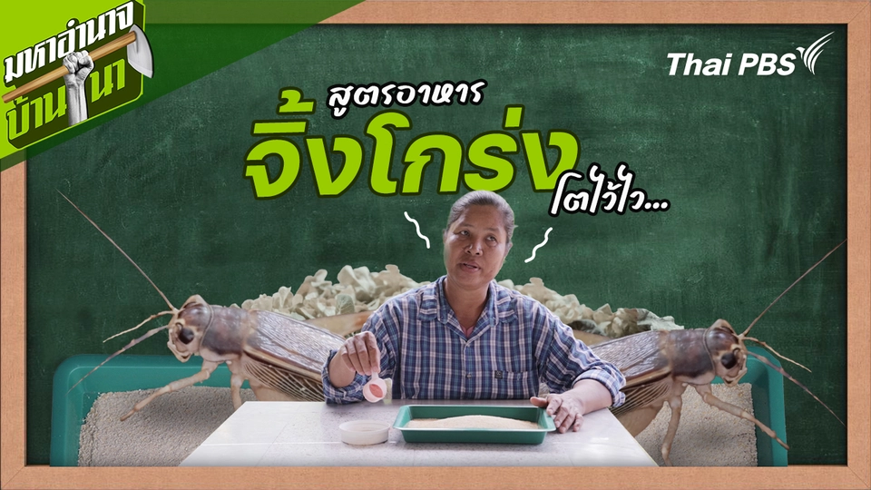 สูตรลับฉบับบ้านนา : สูตรอาหารจิ้งโกร่ง โตไว้ไว