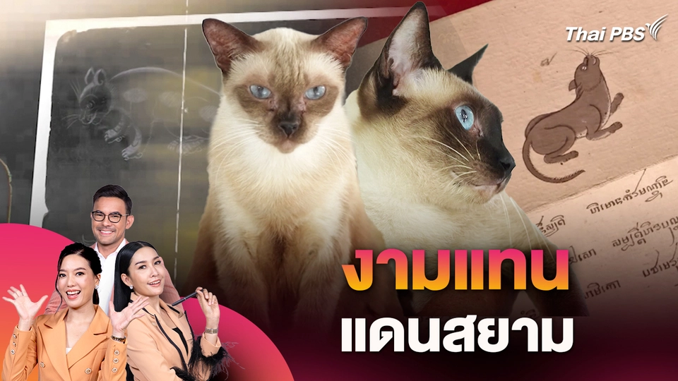 งามแทนแดนสยาม