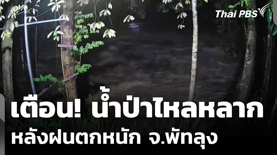 เตือน! น้ำป่าไหลหลาก หลังฝนตกหนัก จ.พัทลุง