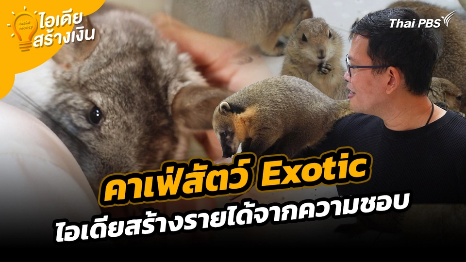 Make Money ไอเดียสร้างเงิน : คาเฟ่สัตว์ Exotic ไอเดียสร้างรายได้จากความชอบ