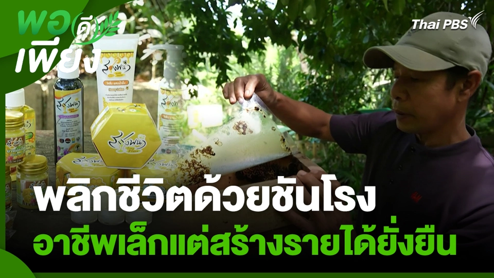 พลิกชีวิตด้วยชันโรง อาชีพเล็กแต่สร้างรายได้ยั่งยืน