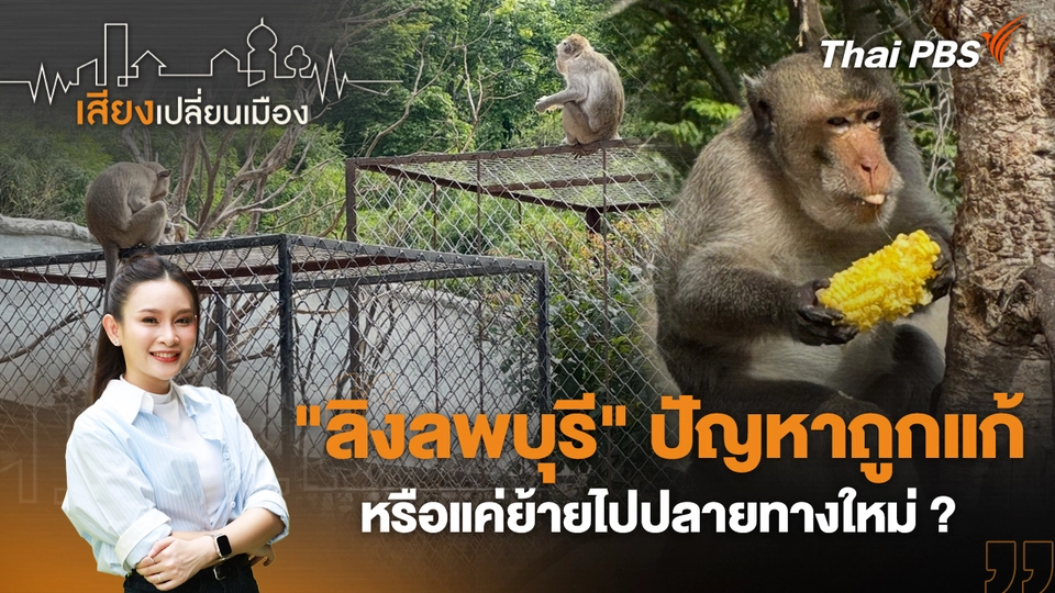 "ลิงลพบุรี" ปัญหาถูกแก้ หรือแค่ย้ายไปปลายทางใหม่ ?