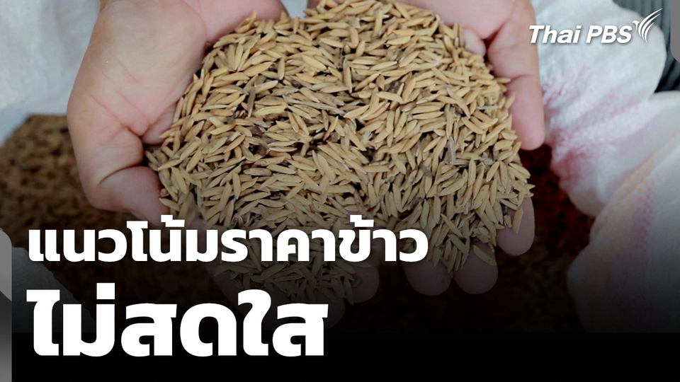 แนวโน้มราคาข้าวไม่สดใส