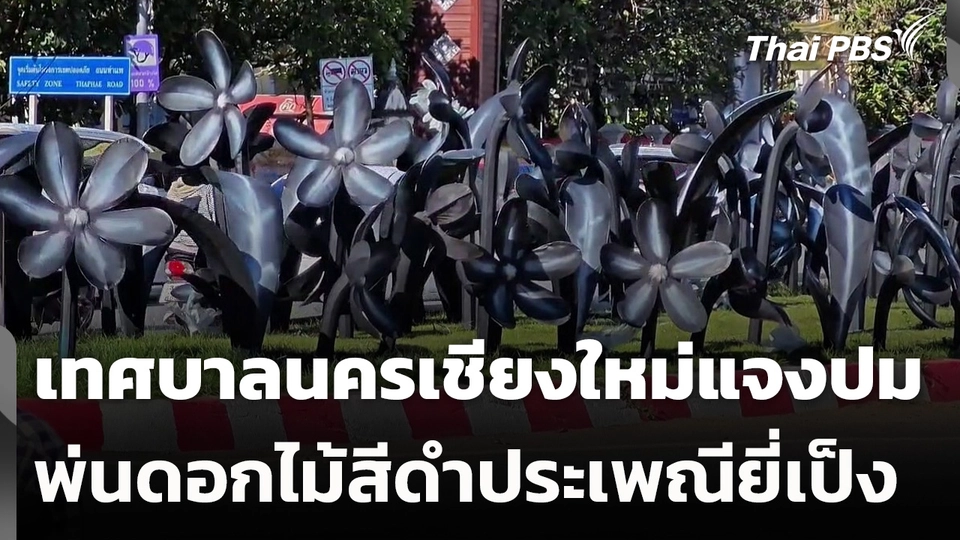 เทศบาลนครเชียงใหม่แจงปมพ่นดอกไม้สีดำประเพณียี่เป็ง