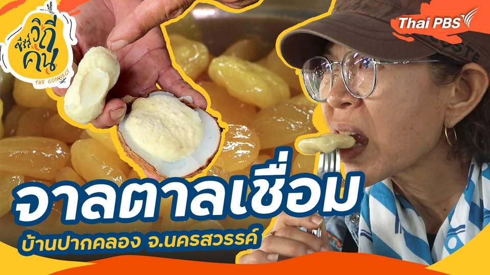 ช็อตเด็ด ซีรีส์วิถีคน : จาลตาลเชื่อมบ้านปากคลอง จ.นครสวรรค์