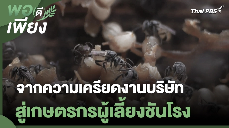 จากความเครียดงานบริษัท สู่เกษตรกรผู้เลี้ยงชันโรง