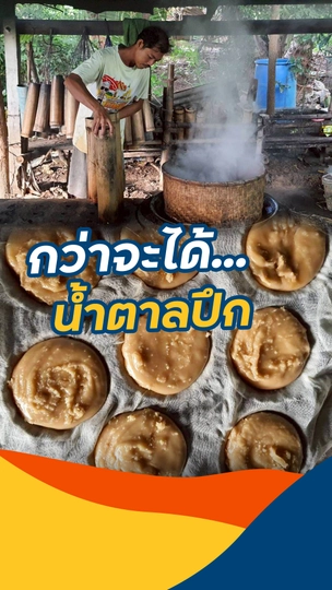 กว่าจะได้...น้ำตาลปึก