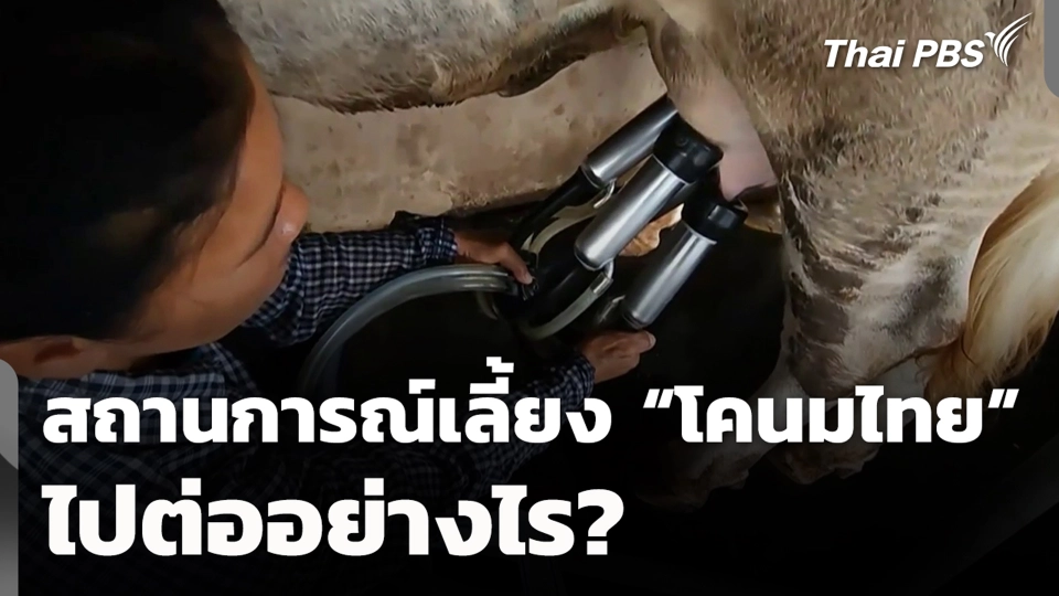 สถานการณ์เลี้ยง “โคนมไทย” ไปต่ออย่างไร?