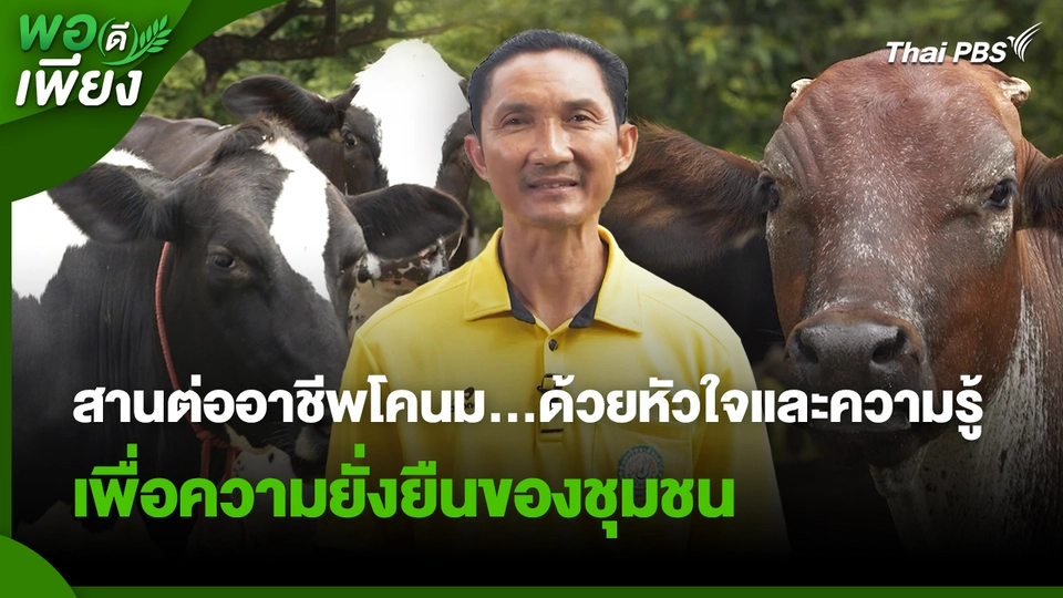 พอดีพอเพียง : สานต่ออาชีพโคนม...ด้วยหัวใจและความรู้ เพื่อความยั่งยืนของชุมชน